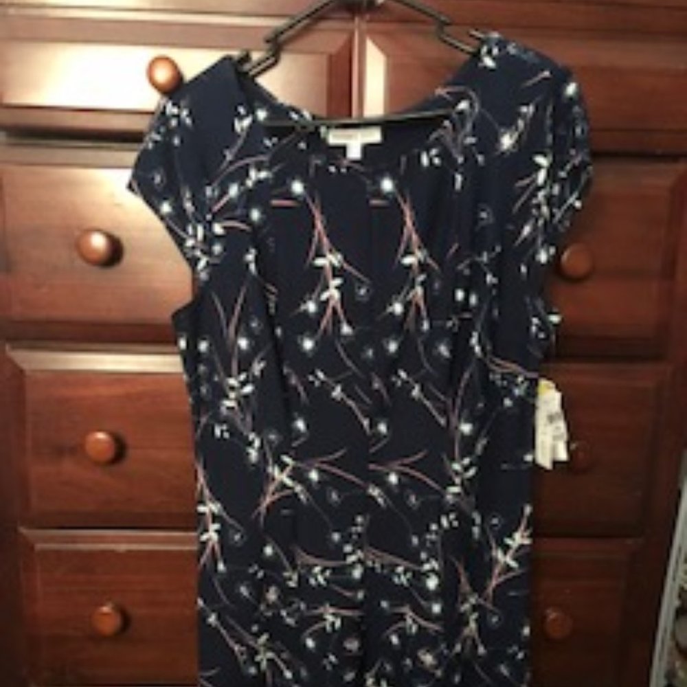 Robbie Bee women's A-line, fit and flare dress with cap sleeves is a size XL